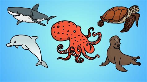 Draw Five: How to Draw Ocean Animals .
